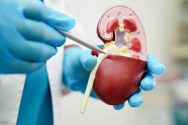 Renal Transplantation