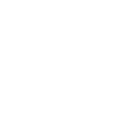 Renal Vascular 